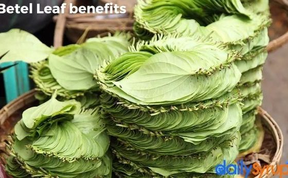 Betel Leaf benefits