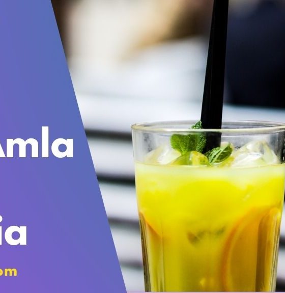Best Amla Juice in India 2022 Guide Reviews