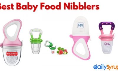 Best Baby Food Nibblers in India 2022